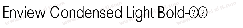 Enview Condensed Light Bold字体转换